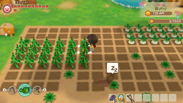 Top 10 game nong trai Story Of Seasons Friends Of Mineral Town 3 Game Cuối