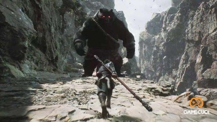 Hắc Toàn Phong, con gấu đen mà Wukong sẽ đụng mặt.