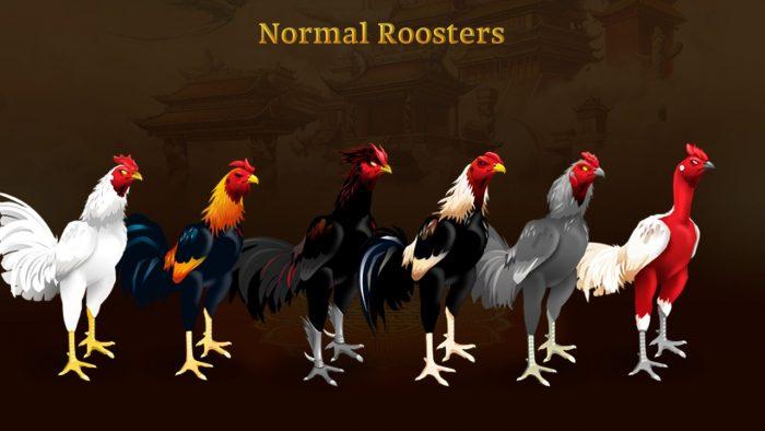 rooster battle NFT Game Cuối