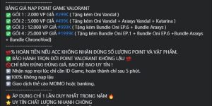 Valorant: Cộng đồng Việt “troll” web scam nạp lậu Vpoint