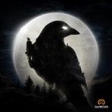 Night Crows