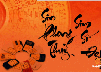 Sim Số Đẹp Và Sim Phong Thủy: Lựa Chọn Nào Phù Hợp Với Bạn?