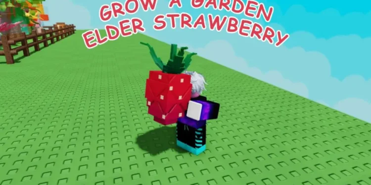 Roblox: Cách nhận hạt giống Elder Strawberry trong Grow a Garden